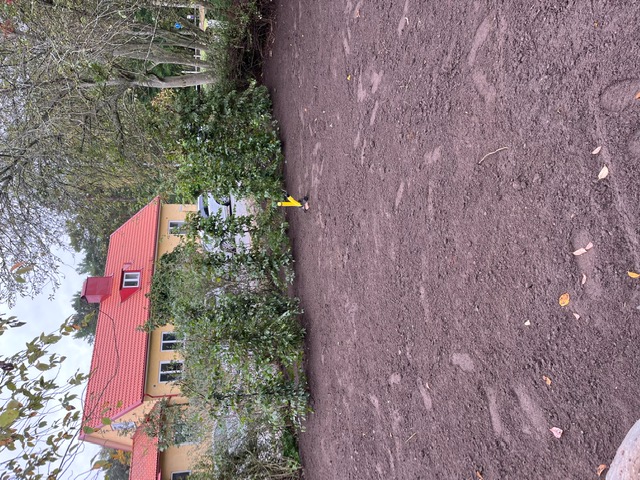 image30